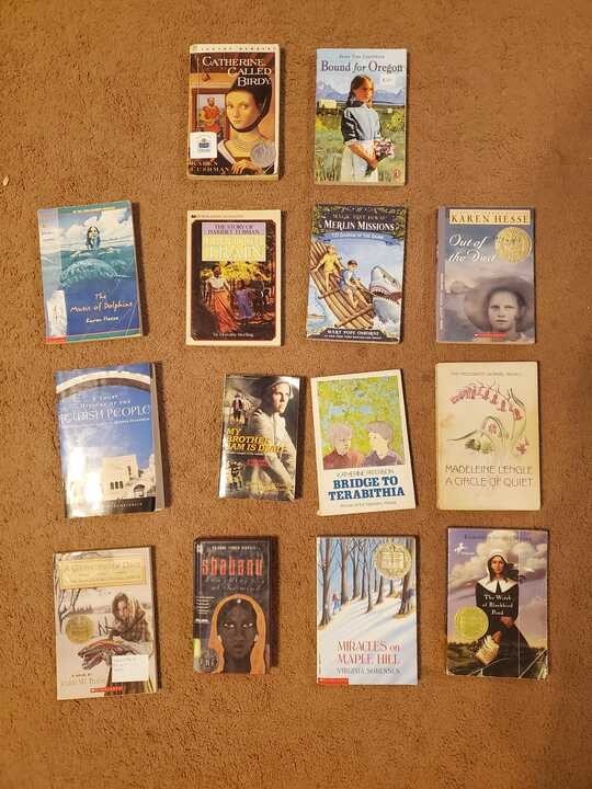 14 Classic Middle Grade Books Lot Newbery Medal Winners Historical Fiction