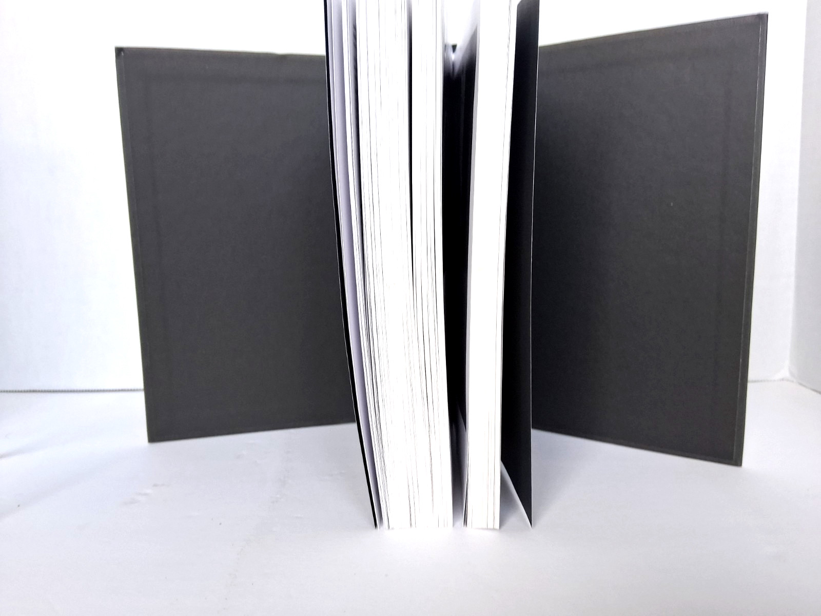 „The History of Photography From 1839 to Present“ (Illustrated HC & DJ)
