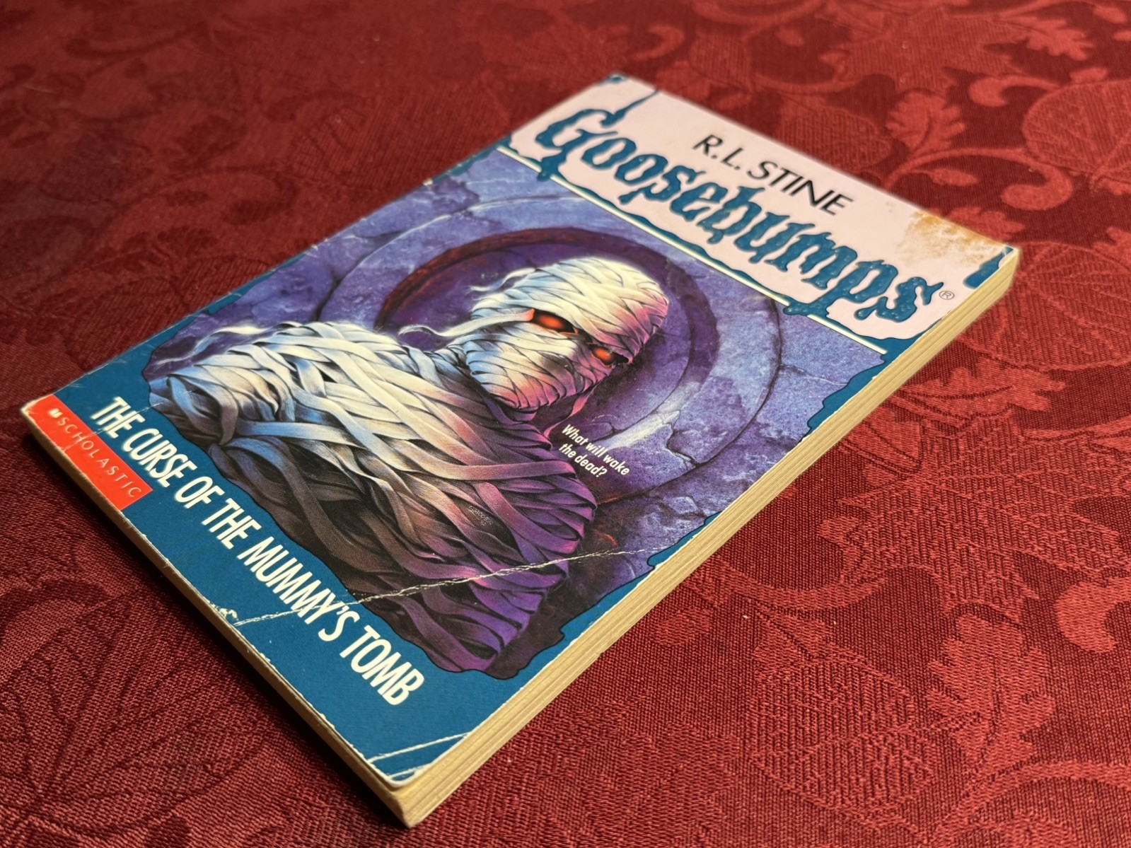 R.L. STINE GOOSEBUMPS LOT 17 BOOKS USED PRE OWNED PRE LOVED (READ DESCRIPTION) !