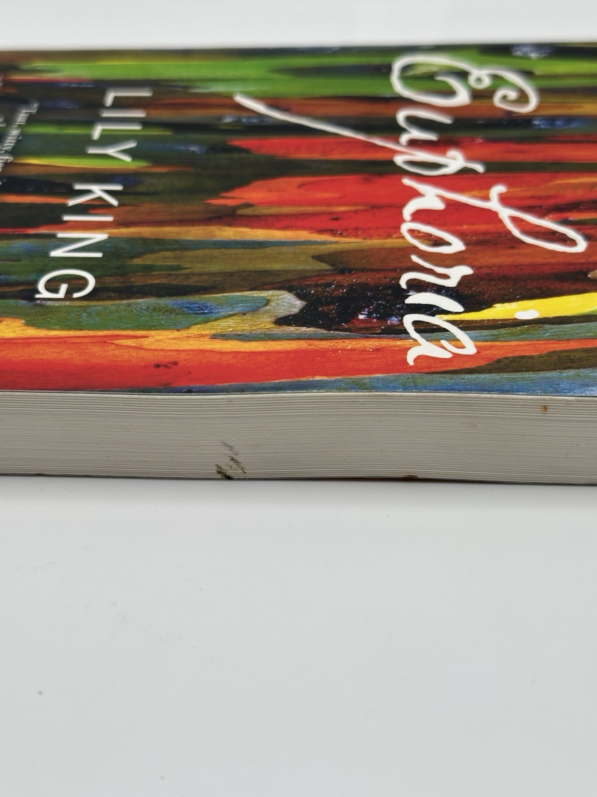 Euphoria by Lily King , National Bestseller One Of The 10 Best Books Of 2014