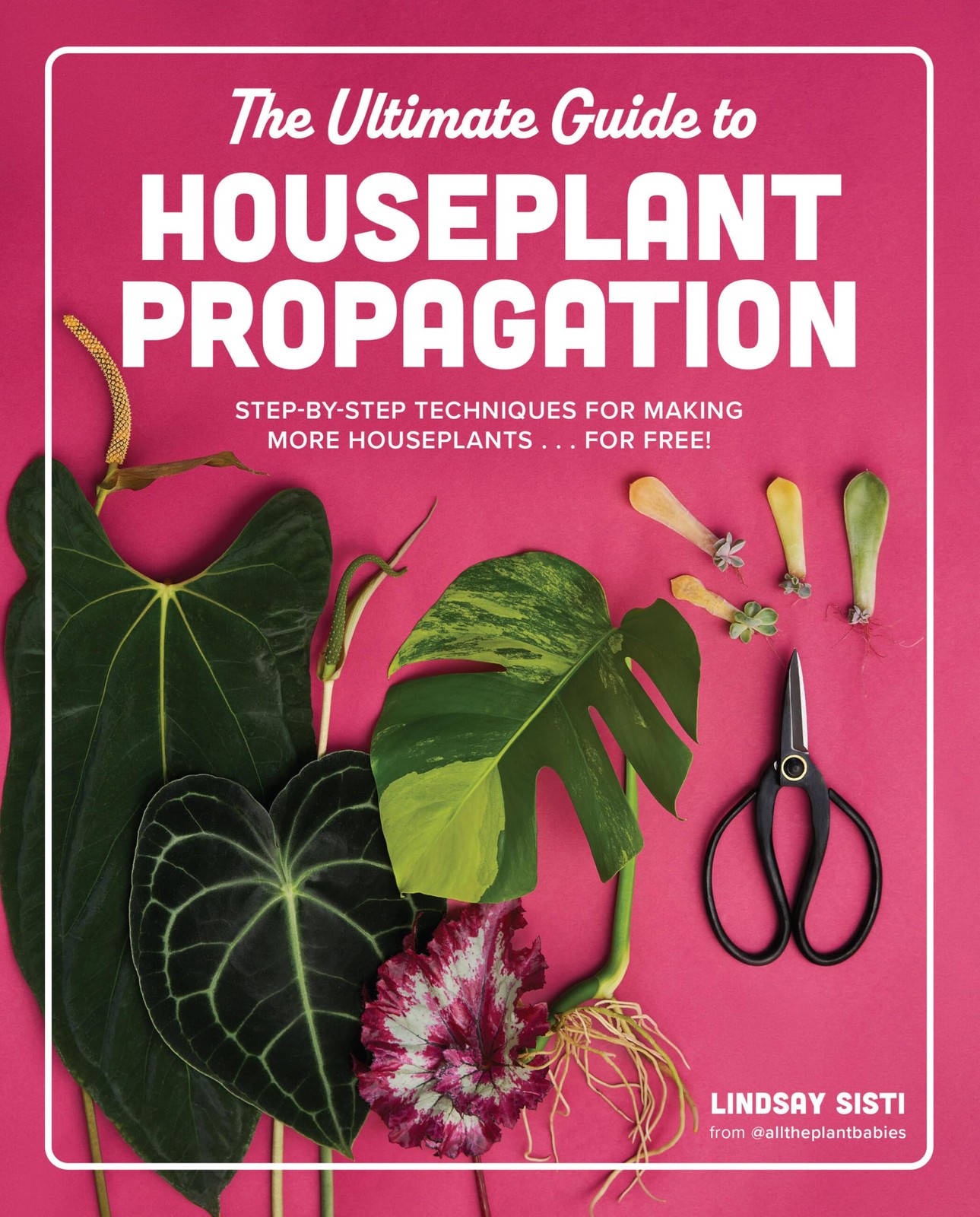 The Ultimate Guide to Houseplant Propagation: Step-by-Step Techniques for…