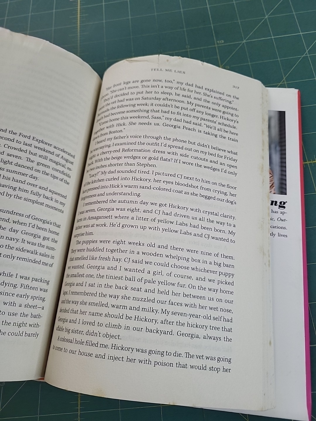 Tell Me Lies: A Novel by Carola Lovering 2018 Hardcover First Atria Edition DJ