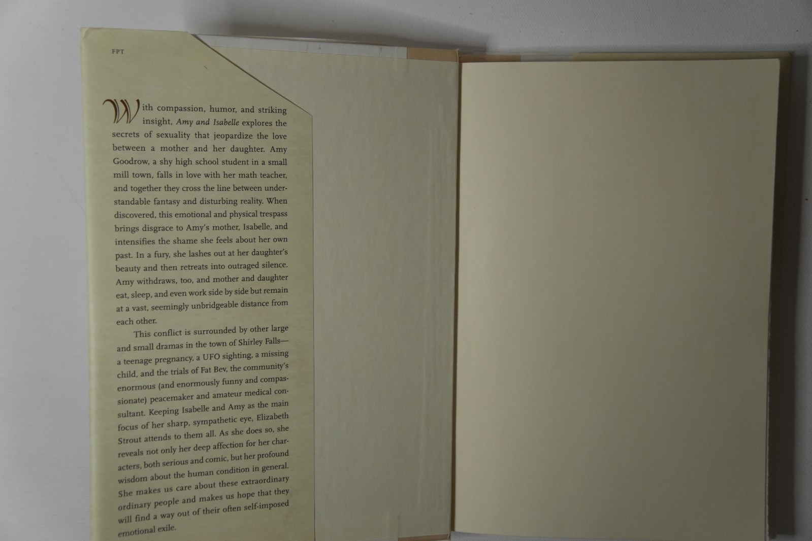 Amy and Isabelle a novel Elizabeth Strout first edition First Print 1999