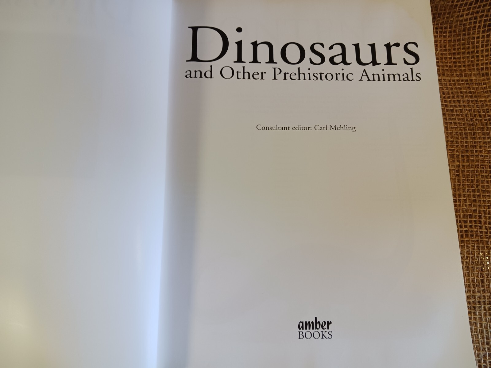 dinosaurs and other prehistoric animals by amber