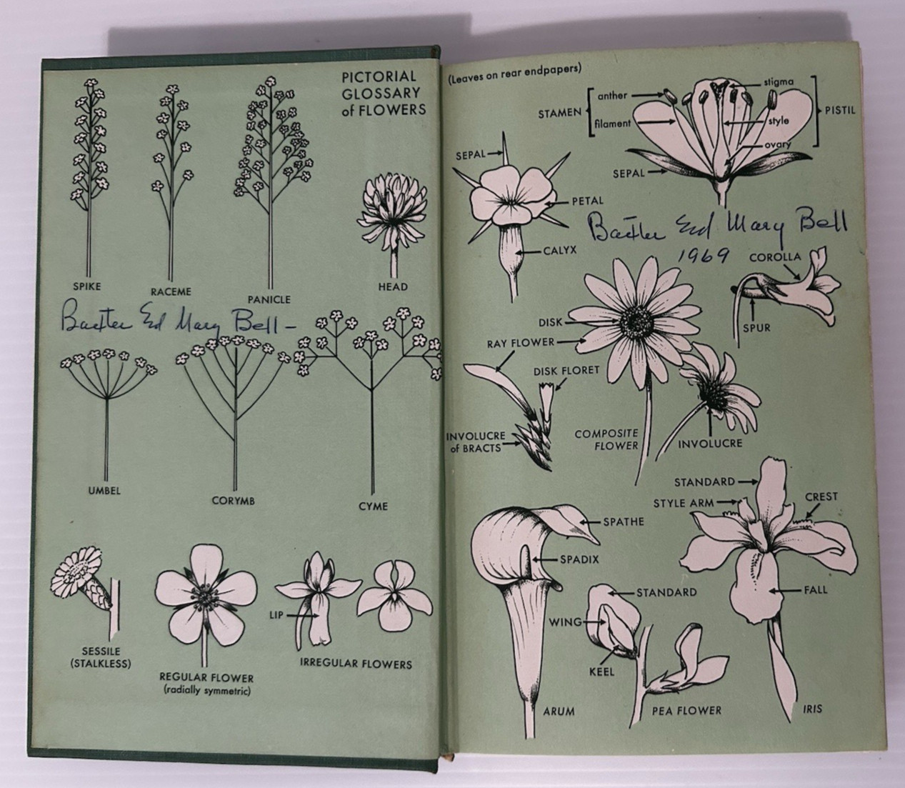 Field Guide to Wildflowers Northeastern & North Central N. A. 1968 1st ed, No DJ