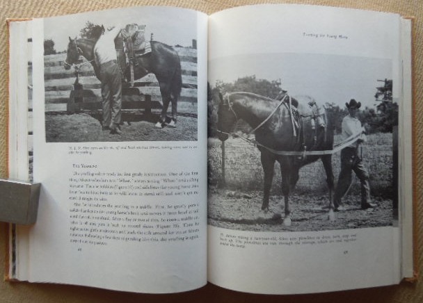 Saddle Up by Charles E. Ball