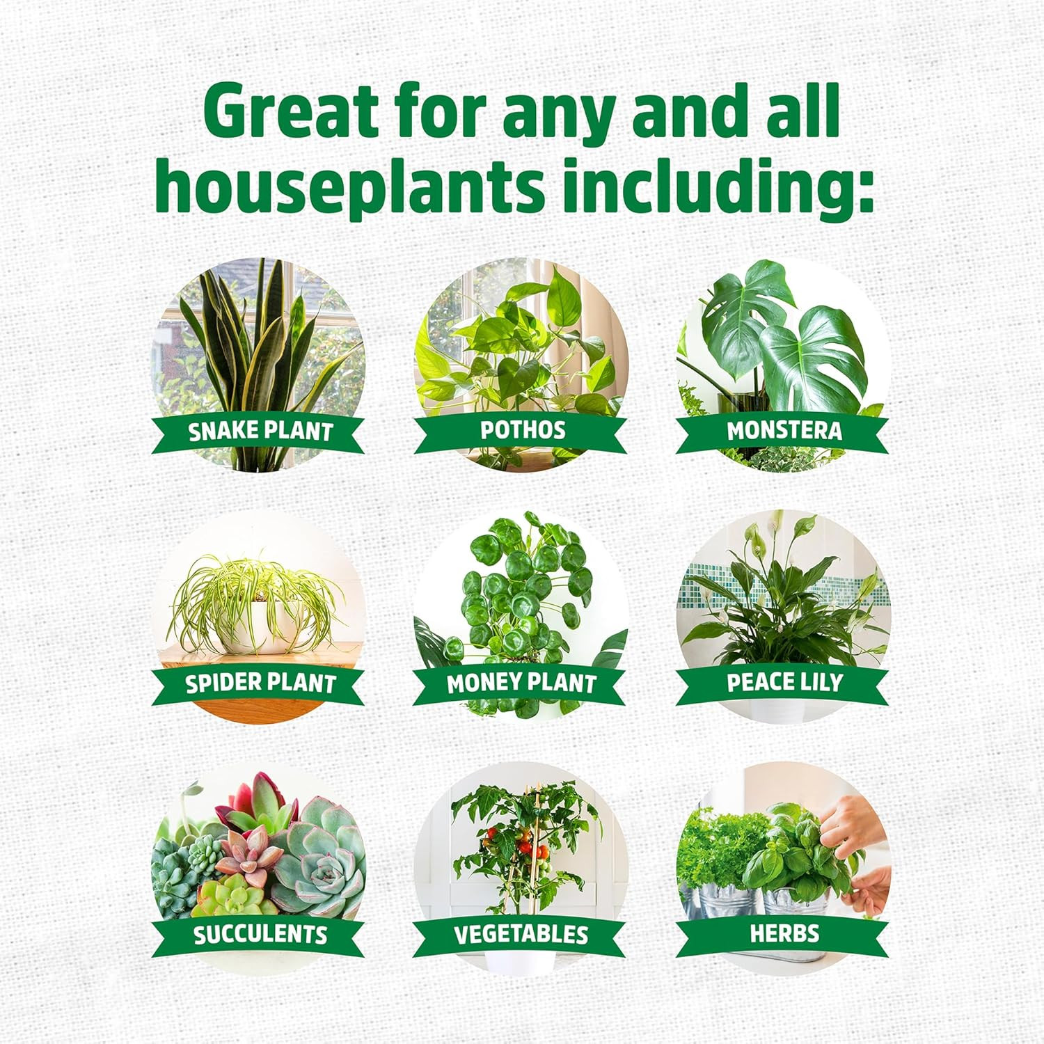 Natural & Organic Indoor Plant Food (16Oz Value Size – 95 Feeds!), Great for Hou