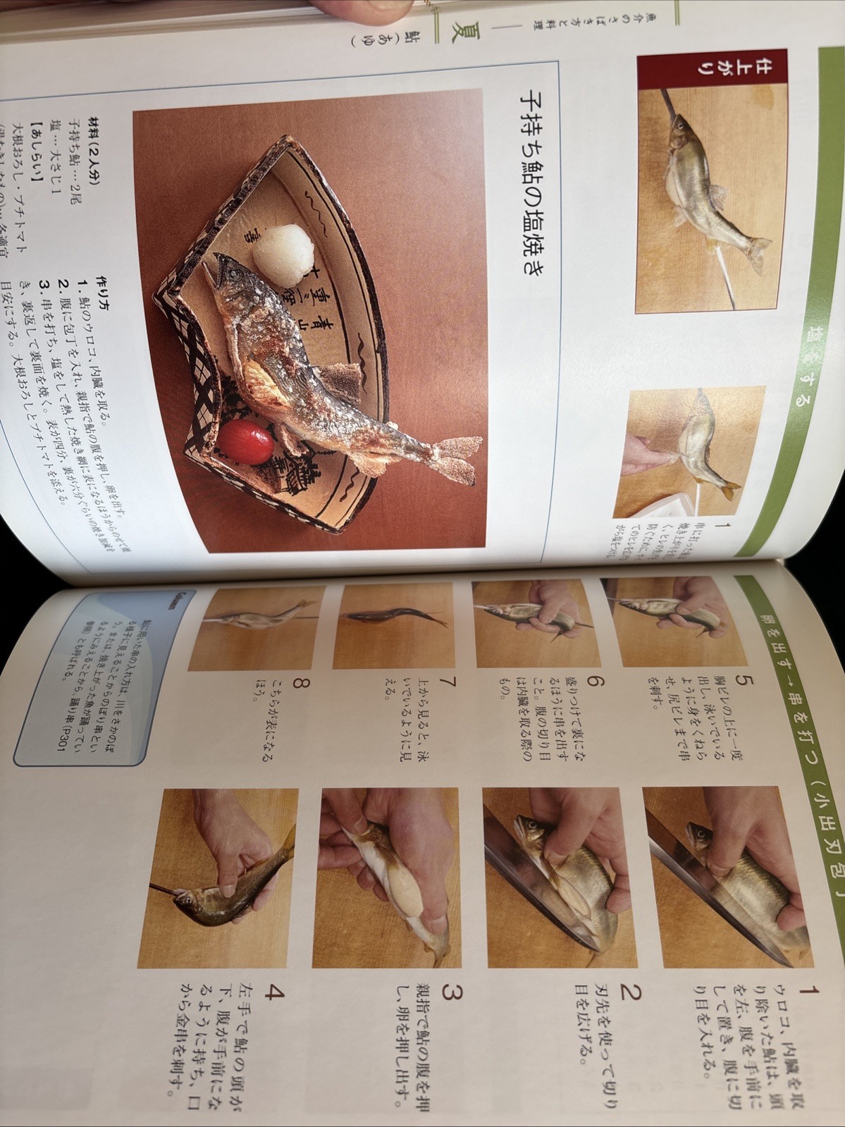 The Most Helpful Kitchen Knife Textbook – Japanese Cuisine – 141 Recipes – Japan