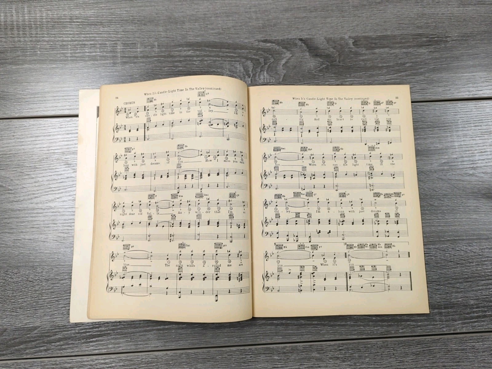 The Big Round Up of Cowboy Songs Amsco Music Sales Company 1934 Vintage