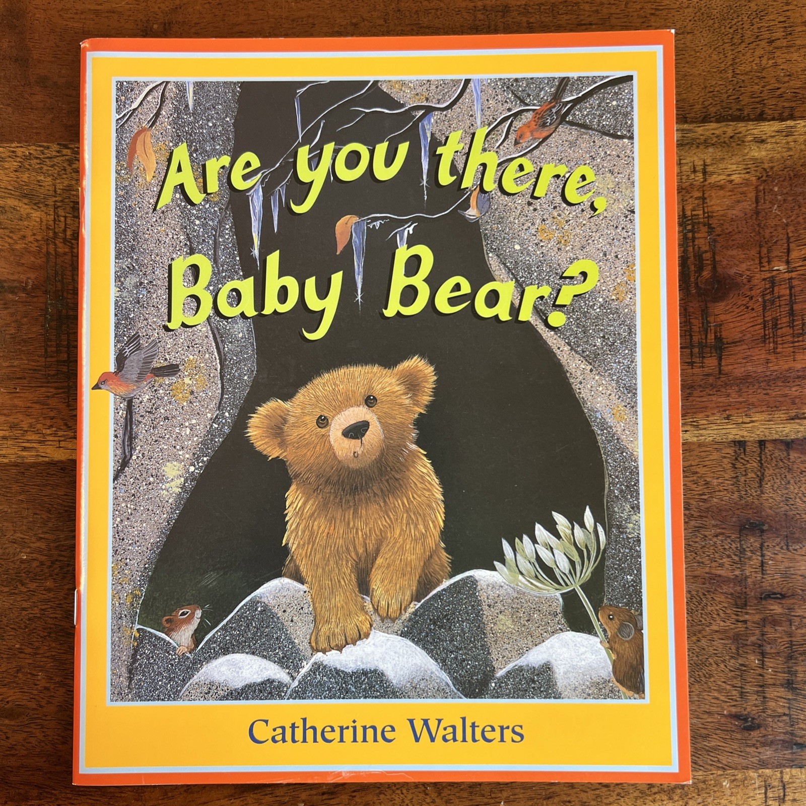 Random Lot of 17- Books for Children’s/ Kids/ Toddler Babies/Preschool/Daycare