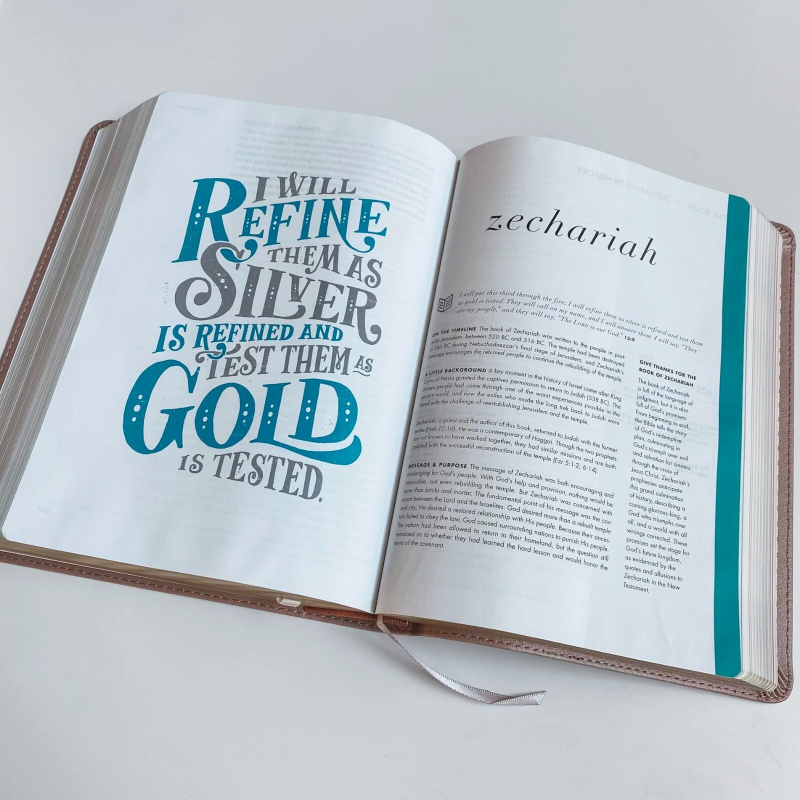 FREEDOM CSB She Reads Truth Bible – Christ Has Set Us Free – Custom Engrave Name
