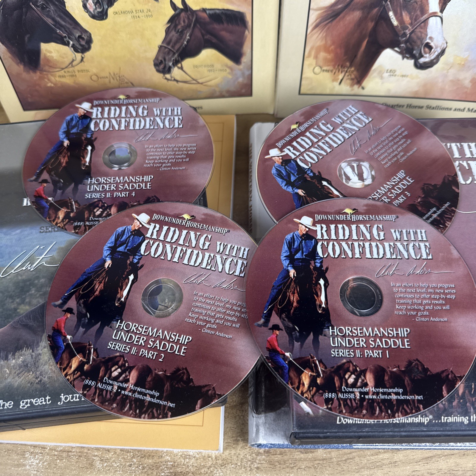 Lot HORSE EQUINE Literature Equestrian Books And Dvds