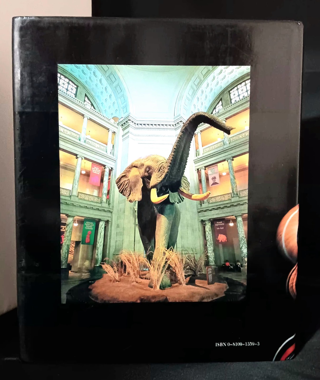 The National Museum Of Natural History A Smithsonian Museum Book 8 Lb HC DJ 1st