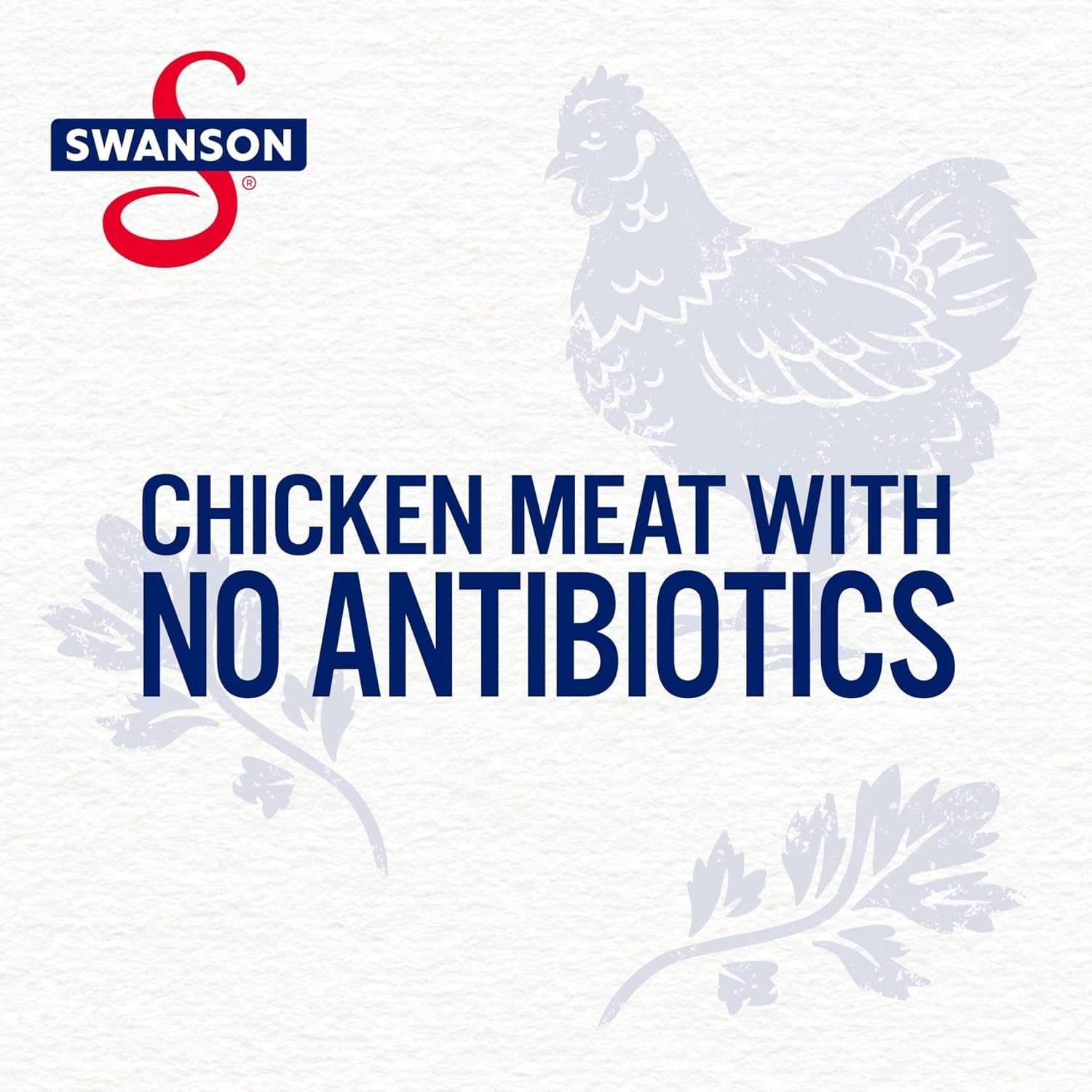 Swanson Chicken & Dumplings with Spaetzle Dumplings, No Antibiotics – 10.5 oz