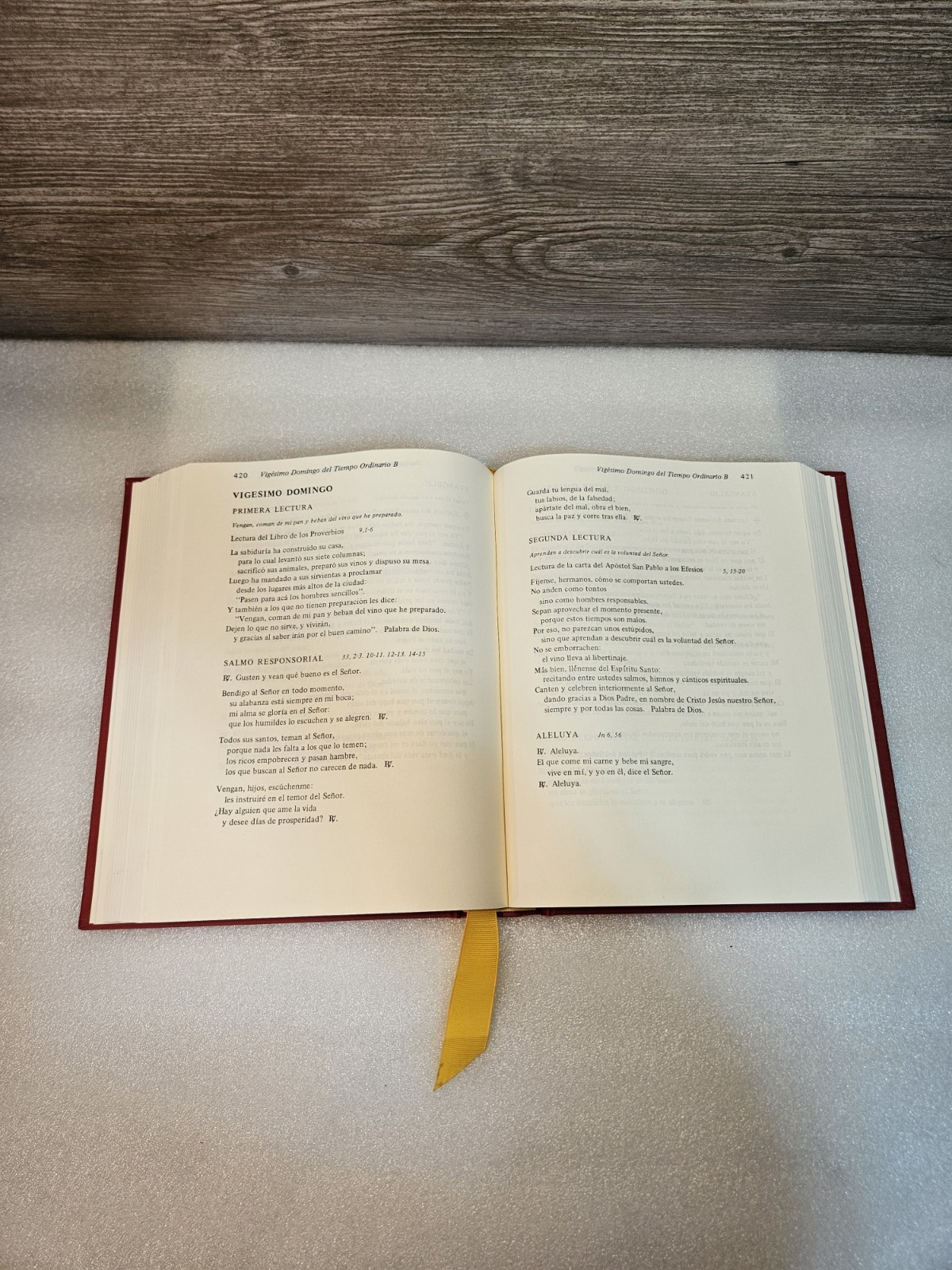 Leccionario Dominical y Solemnidades • Edición Católica • Liturgical Press 1982