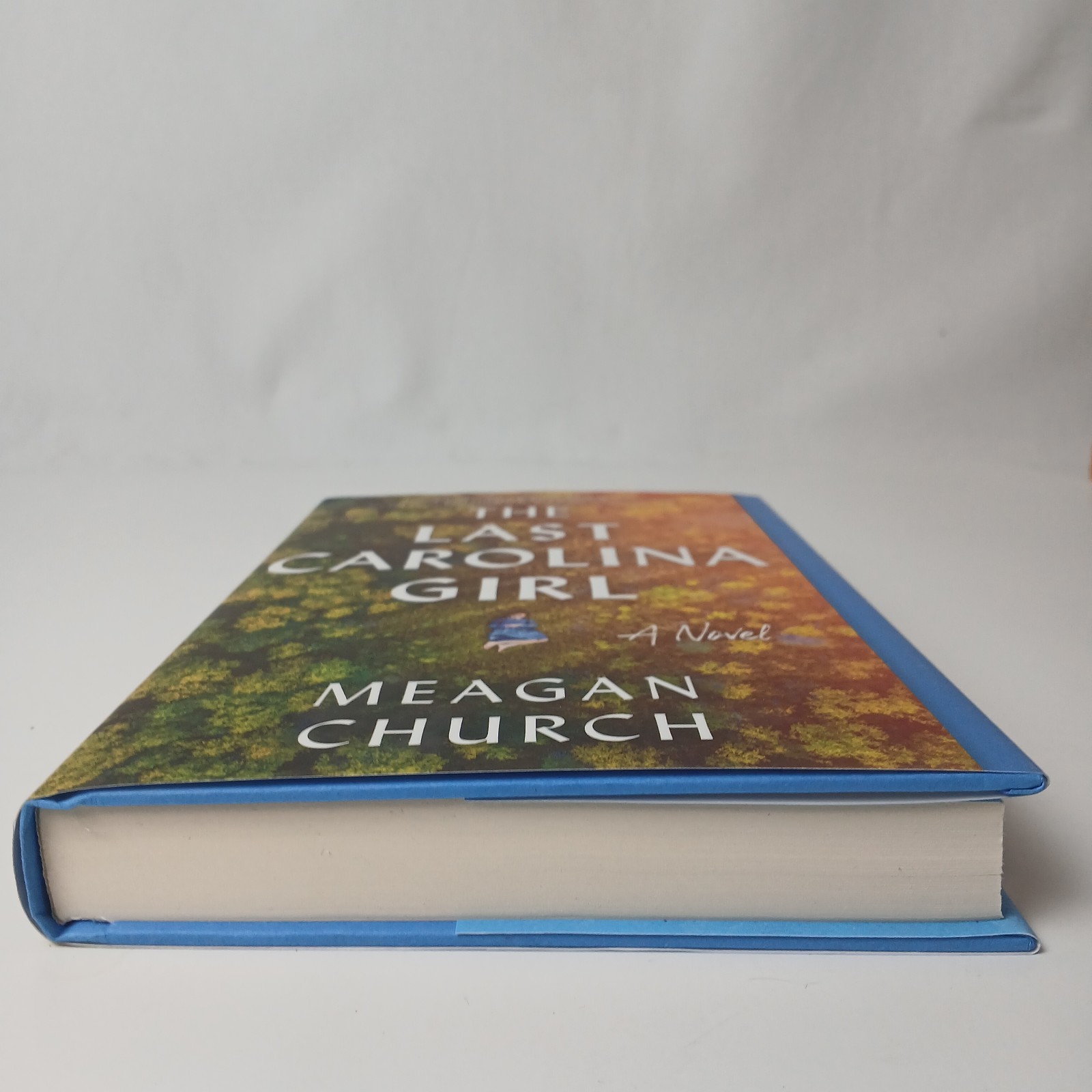 Last Carolina Girl : A Novel by Meagan Church (2023, Hardcover)