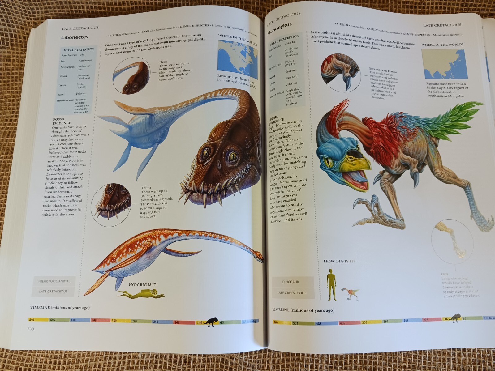 dinosaurs and other prehistoric animals by amber