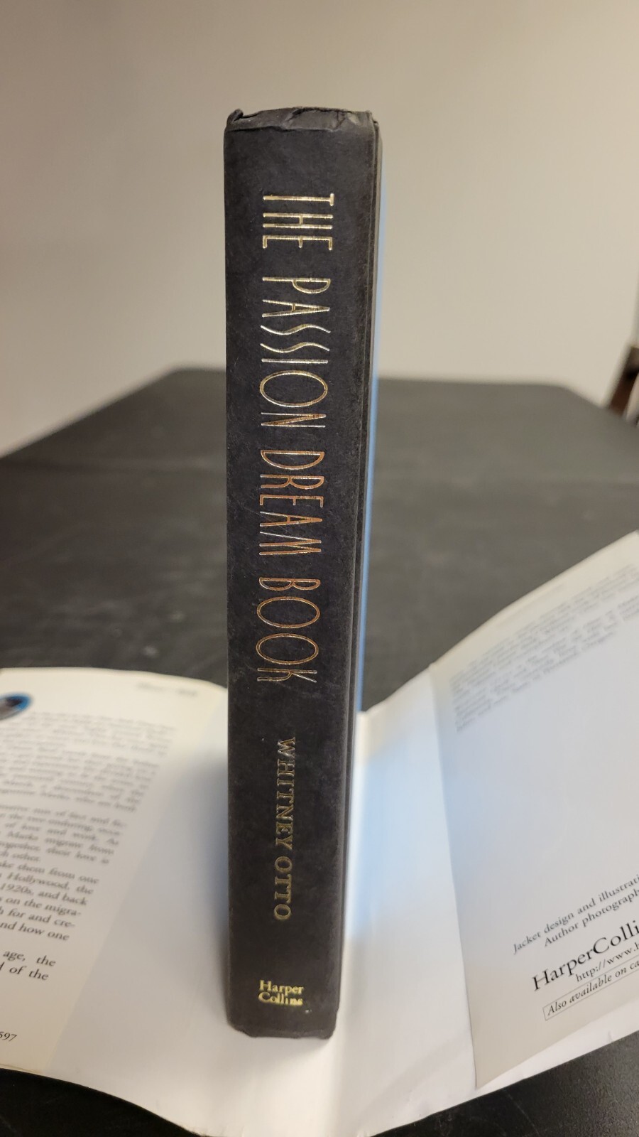 The Passion Dream Book : A Novel by Whitney Otto 1997 1st Edition HC w/ DJ