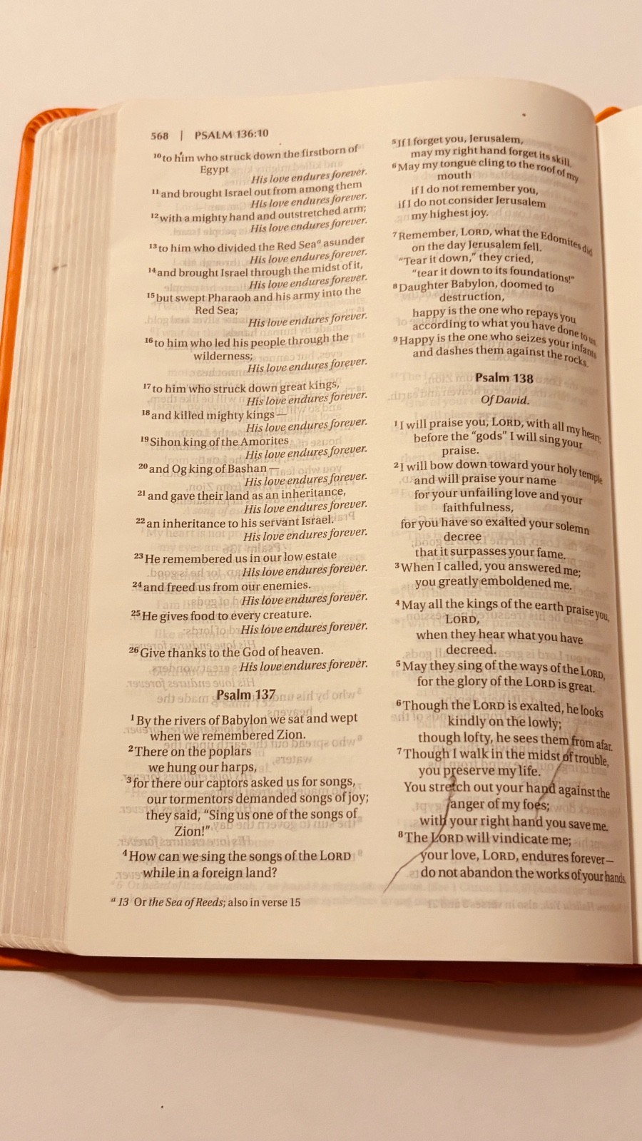 Lot Of 3 Elevation Church Holy Bibles Zondervan NIV: Leathersoft Orange