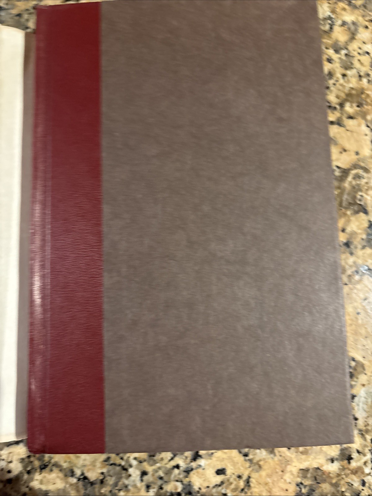 God Stalk – P.C. Hodgell Hardcover Dust Jacket – 1982 -VG Book Club Ed