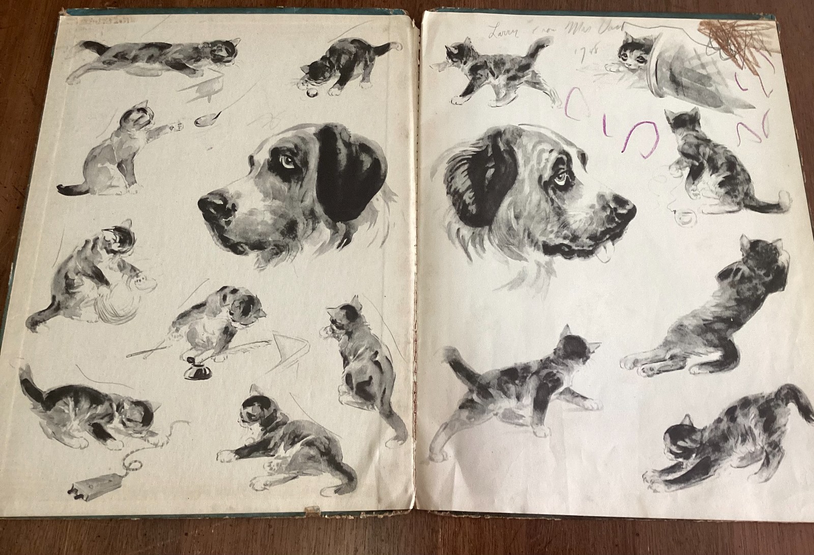 MAJOR AND THE KITTEN Helen Hoke Pictures Diana Thorne hardcover 1941 32 pages