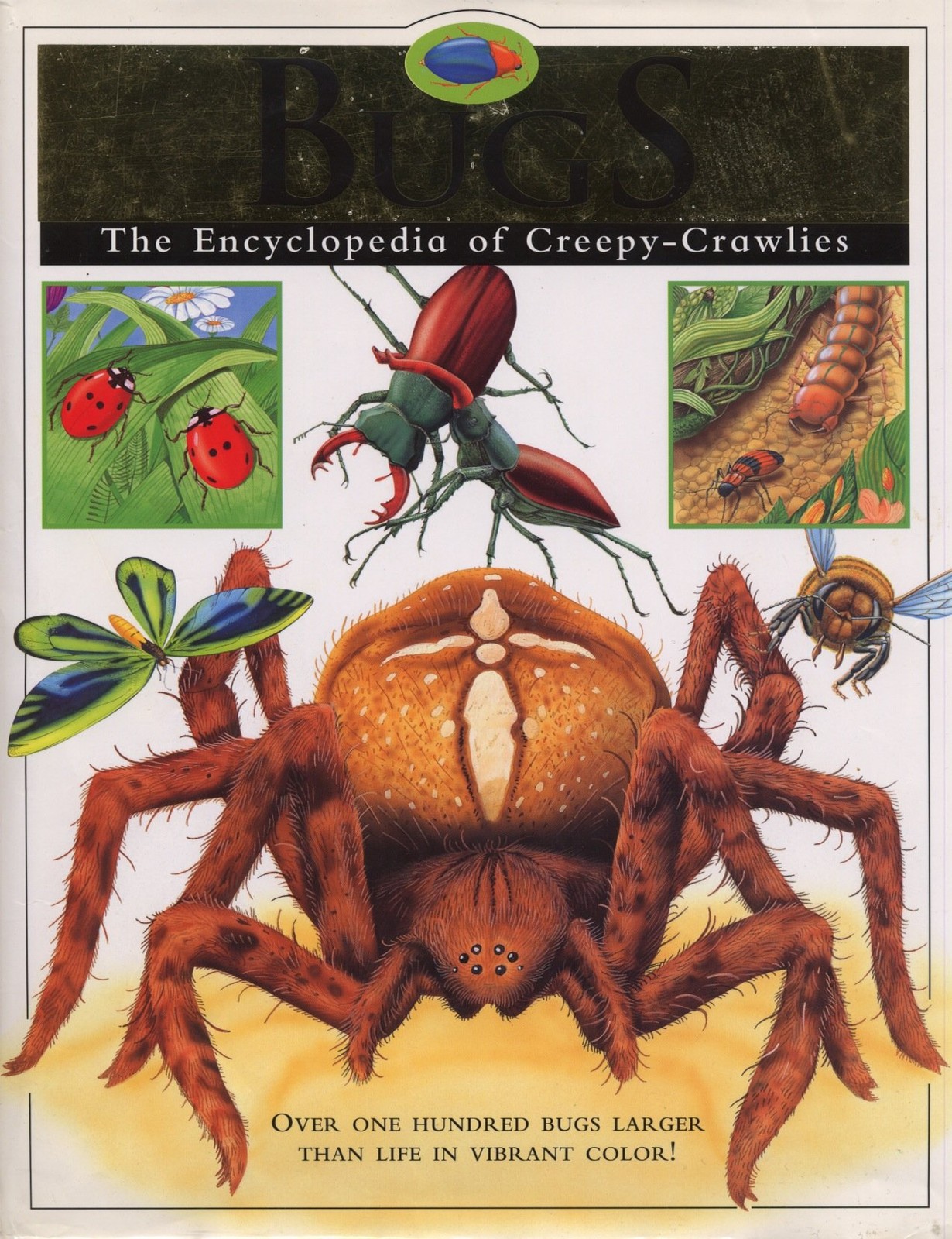 Bugs The Encyclopedia of Creepy-Crawlies – hardcover n/a