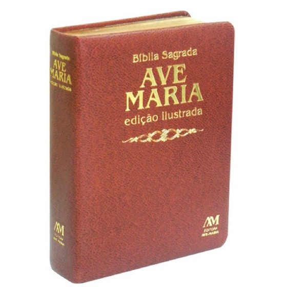 Biblia Sagrada: Edicao Ilustrada – Capa: Luxo (Em Portugues do Brasil)