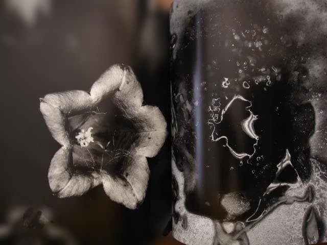 Nobuyoshi Araki „Erotos“ Photo Book First edition Hardcover Japanese