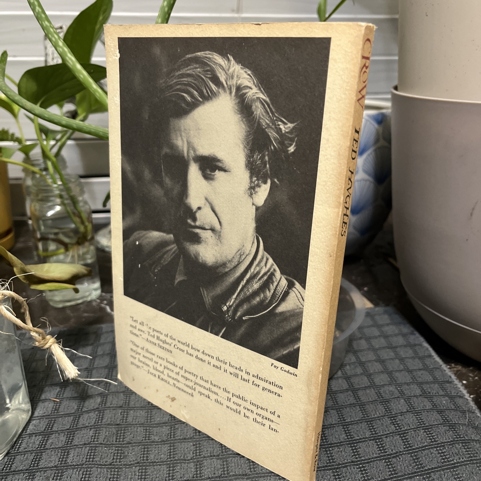 TED HUGHES ~ Crow: From the Life and Songs of the Crow ~ 1971 PB ~ poetry ~ VG+