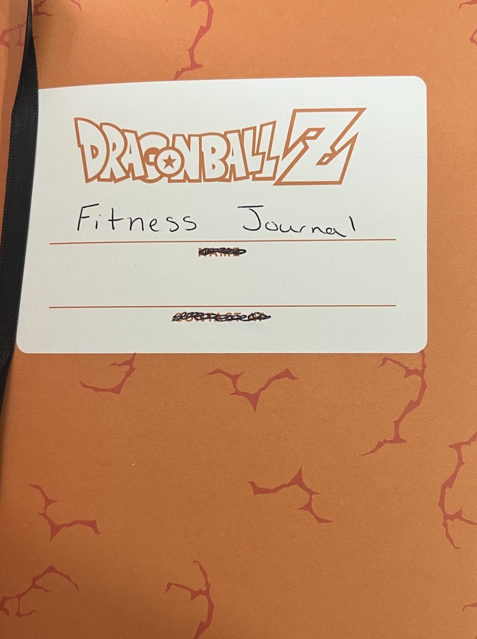 DRAGON BALL Z Dragonball Hardcover Journal (120 Pages) Read See Photos