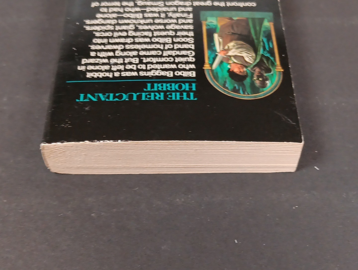 The Lord of the Rings: The Fellowship Of The Rings Trilogy & The Hobbit 1982