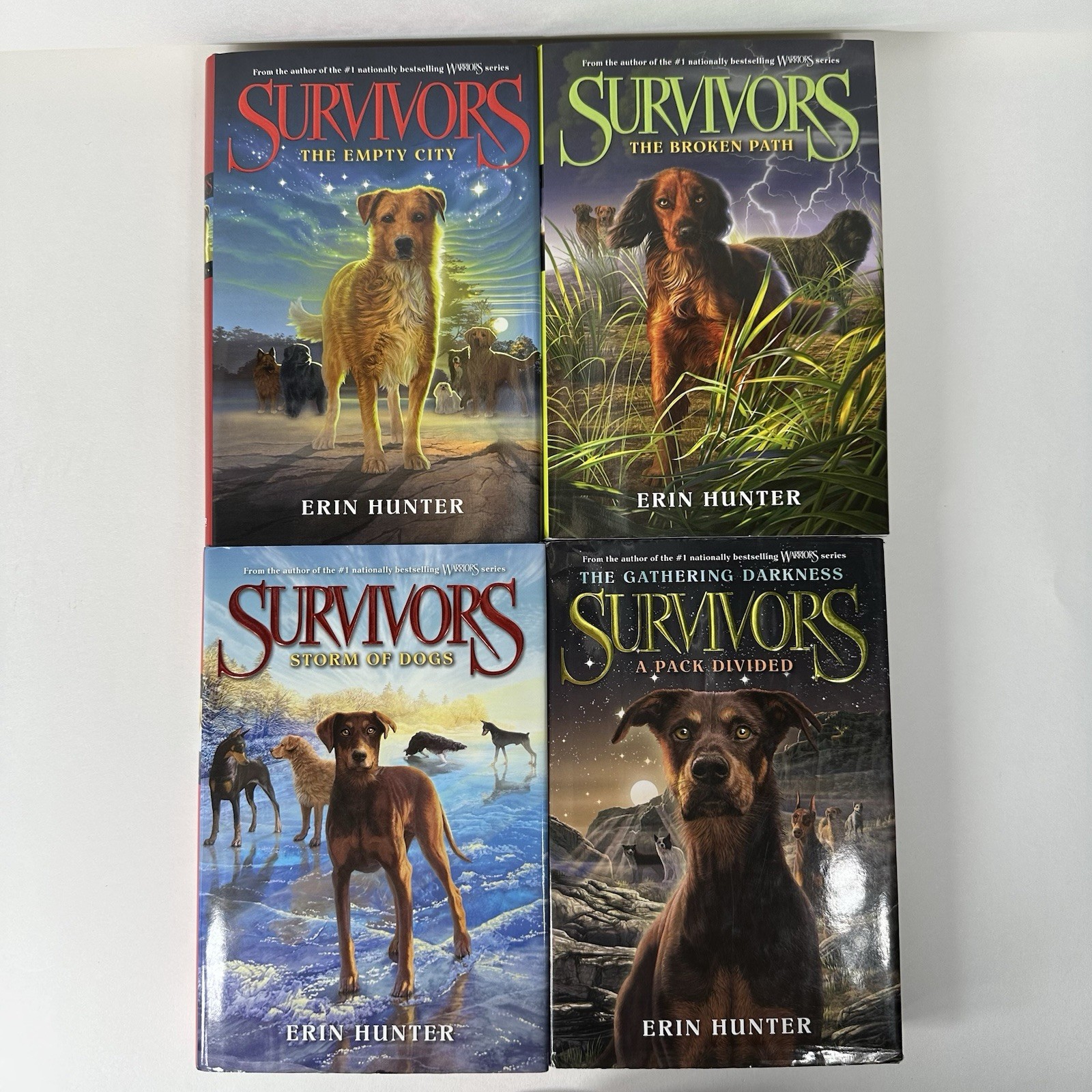 Survivors, Lot of 4 Books, Erin Hunter, Empty City & Storm of Dogs, Very Good
