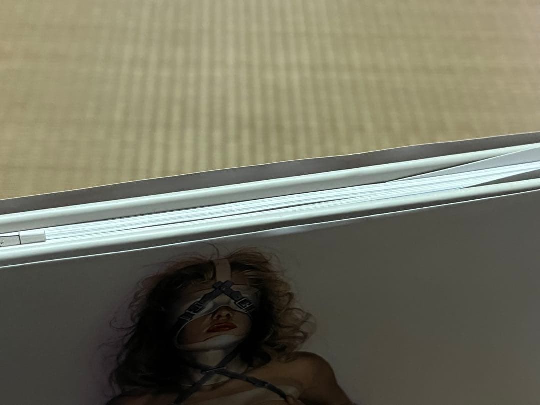 The Gynoids : Hajime Sorayama Art Collection Book Japan