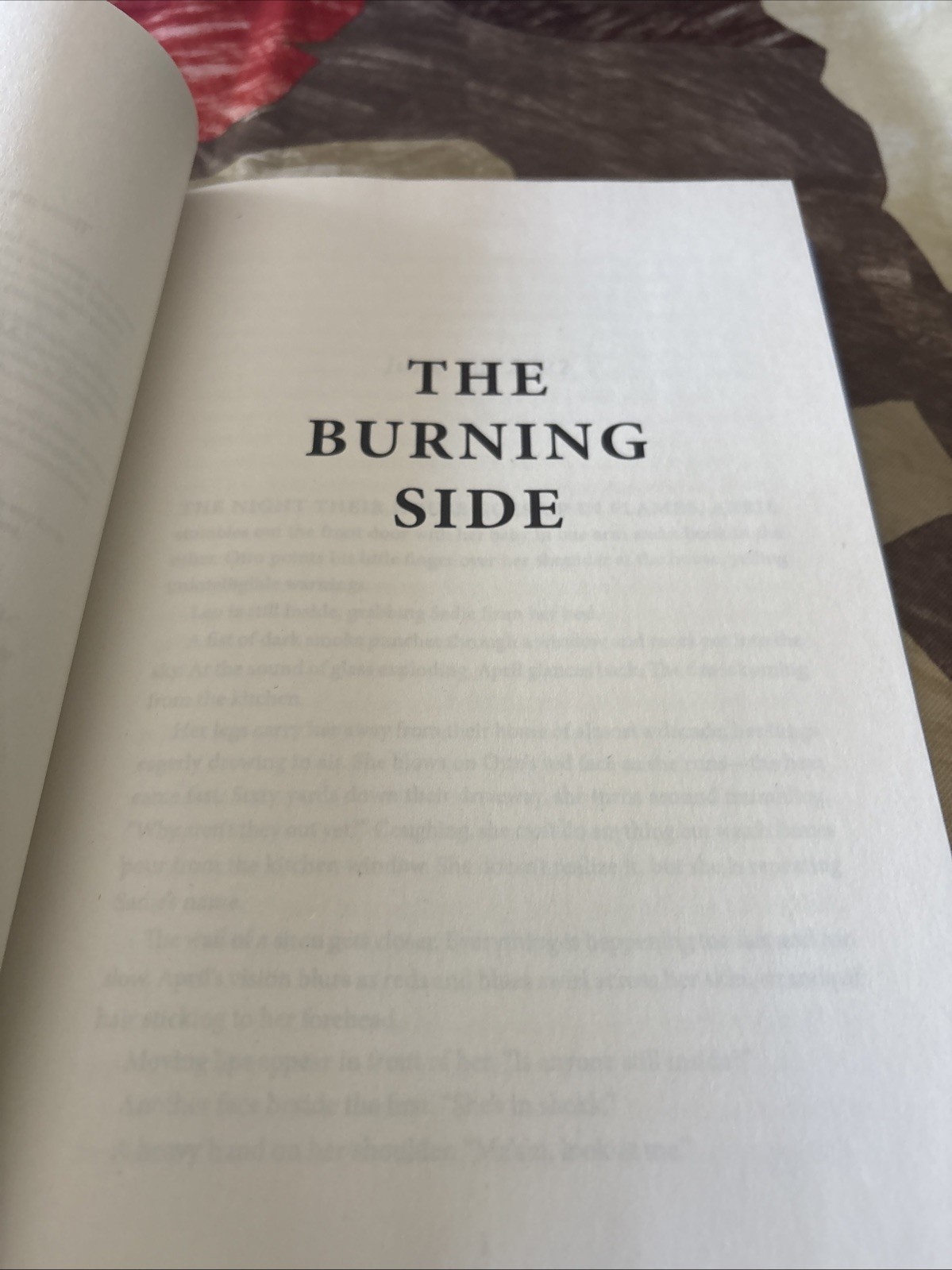 The Burning Side by Sarah Damoff (2026, Hardcover Book. Brand New