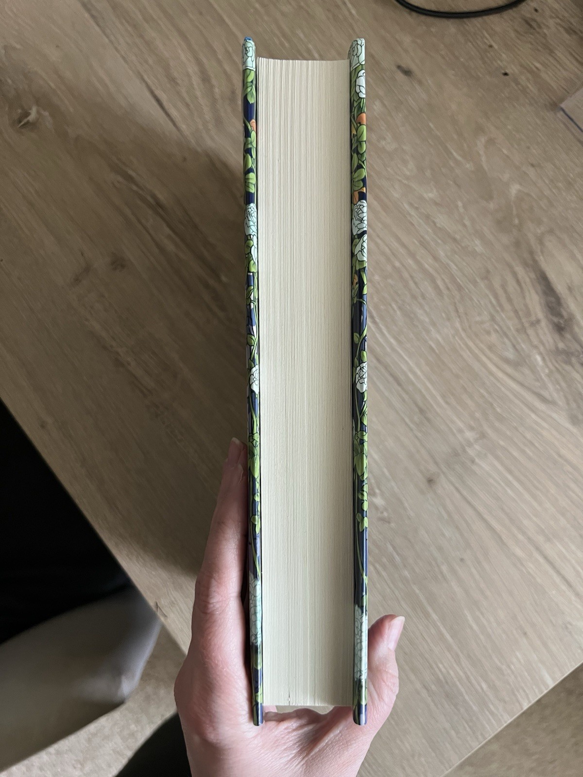 A Dance of Lies Brittney Arena 1st Printing First US Edition Hardcover Del Rey