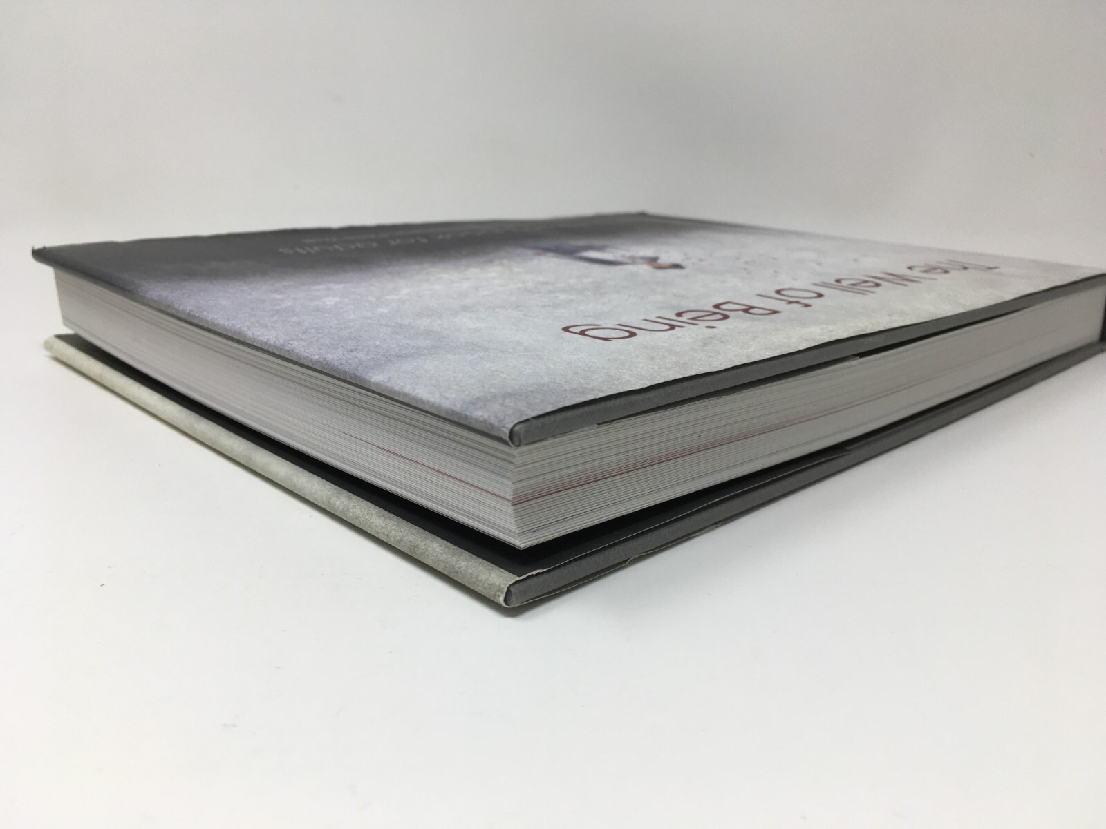 The Well of Being -A Children’s Book for Adults by Jean-Pierre Weill -Watercolor