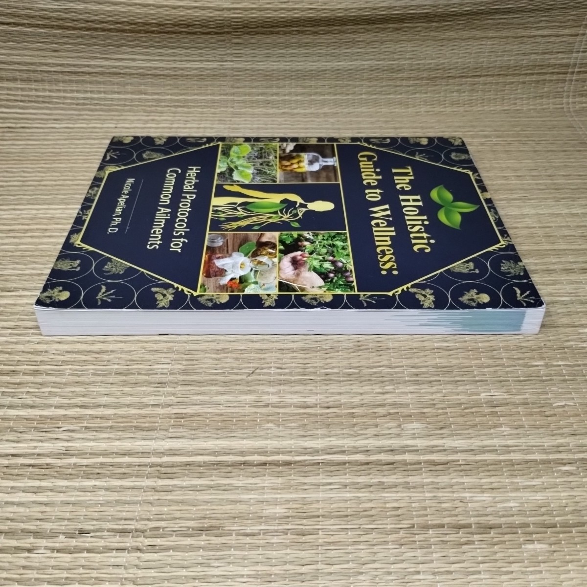 The Holistic Guide to Wellness by Nicole Apelian English Paperback Book VG