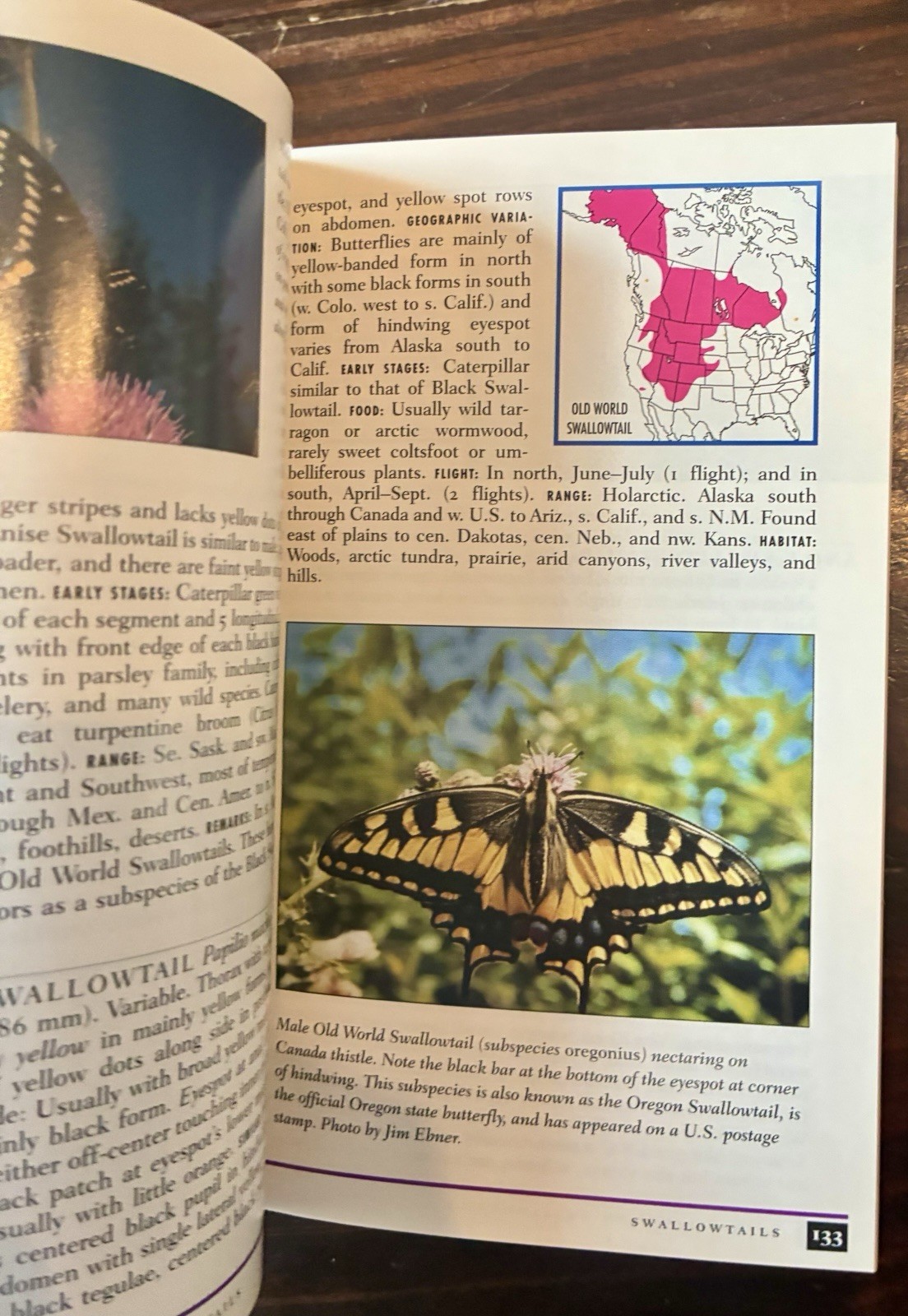 Field Guide to Western Butterflies by Paul A. Opler (1999, Trade Paperback)