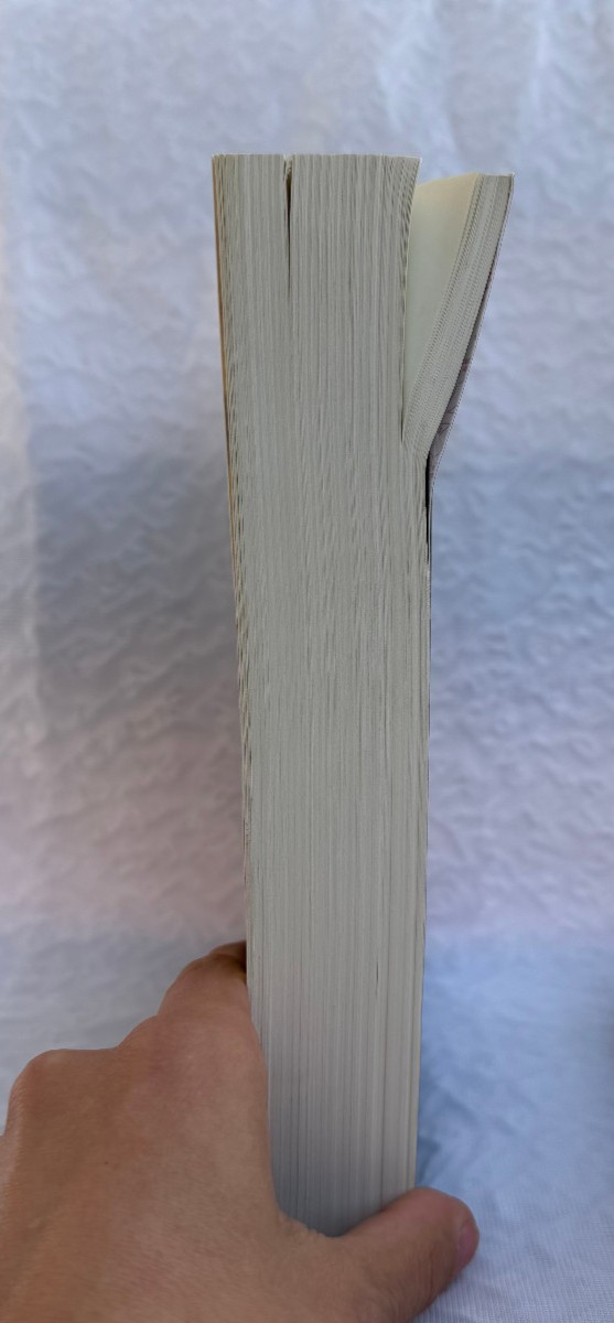 The Familiar Vol 1, Only Revolutions, Mark Z. Danielewski House of Leaves books