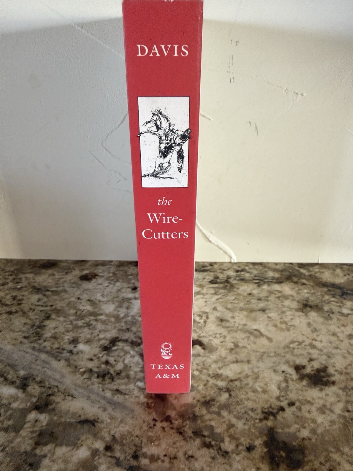 The Wire Cutters Mollie E. Moore Davis Paperback