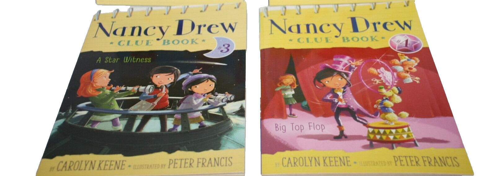 Nancy Drew Clue Books & Notebooks Clue Crew Carolyn Keene Paperbacks Lot Of 6
