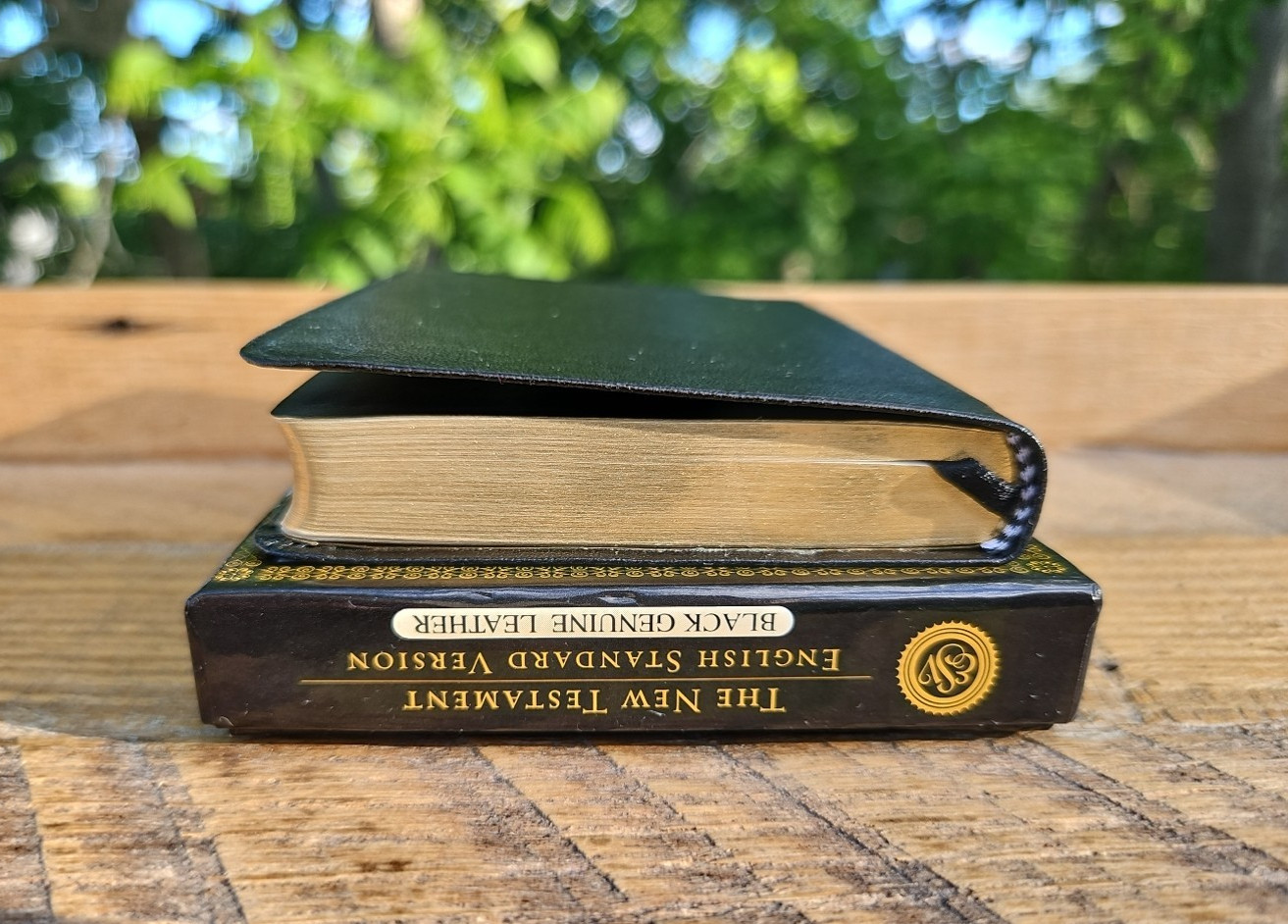 RARE! LNIB! 2001 ESV Text NT with Psalms & Proverbs Genuine Leather RED LETTER