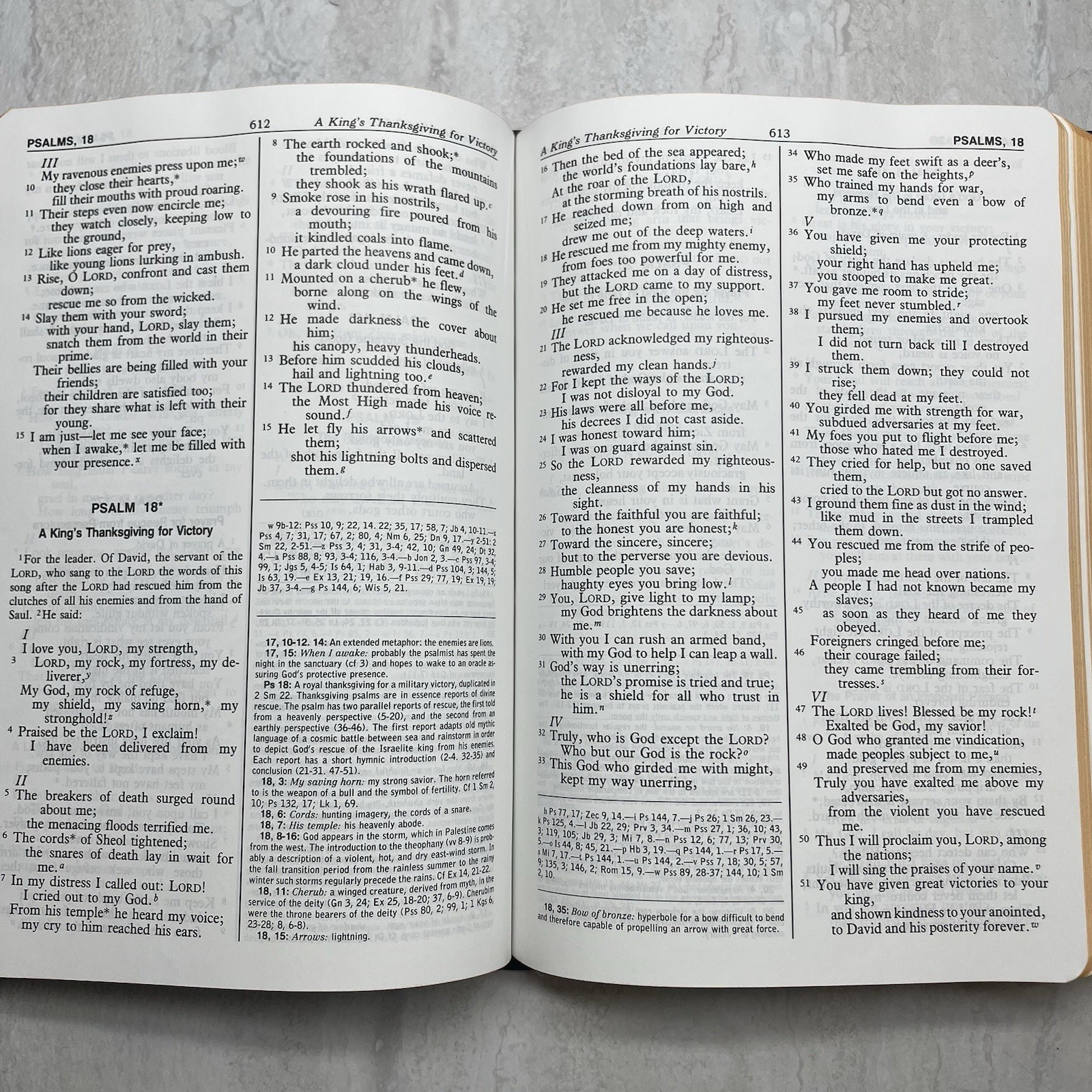 New American Bible Saint Joseph Edition 611/10B – Catholic