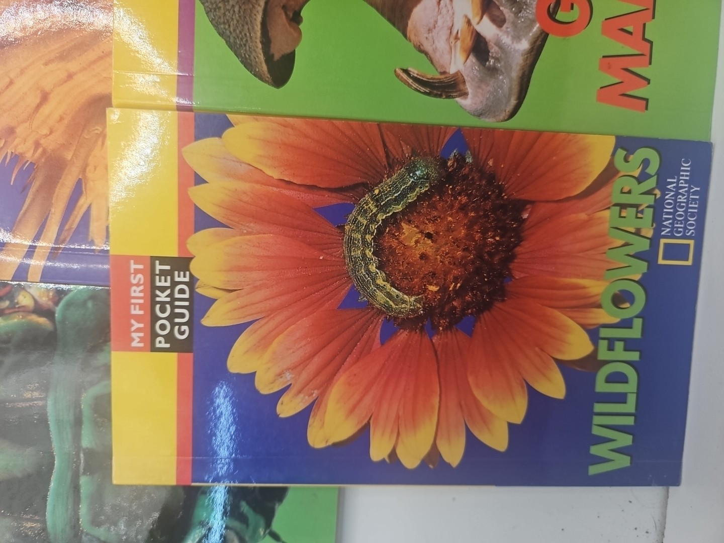 National Geographic My First Pocket Guides: Big Collection 11 Books science