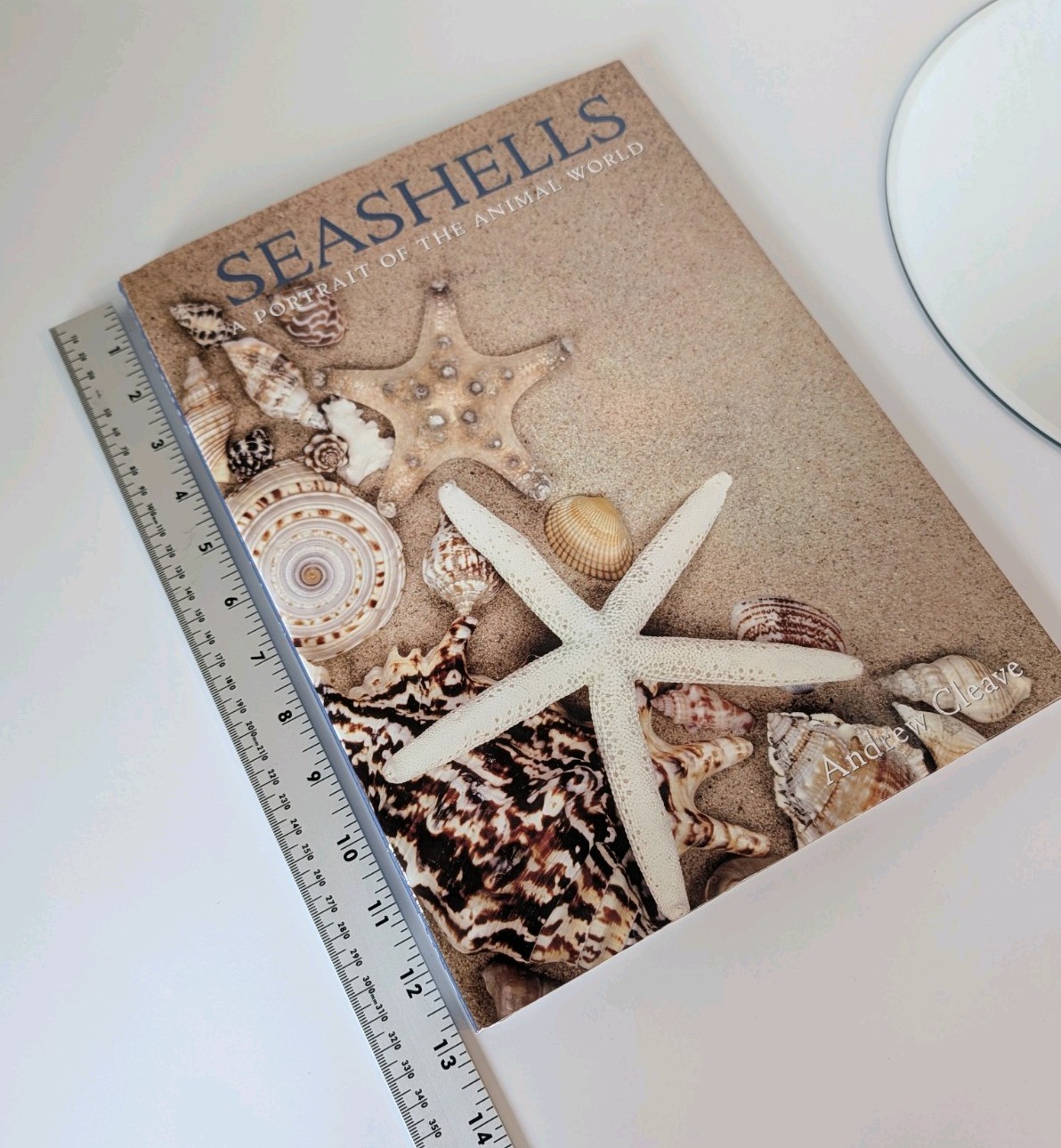 Nautical Beach Seashells Coffee Table Book Hardcover Andrew Cleave