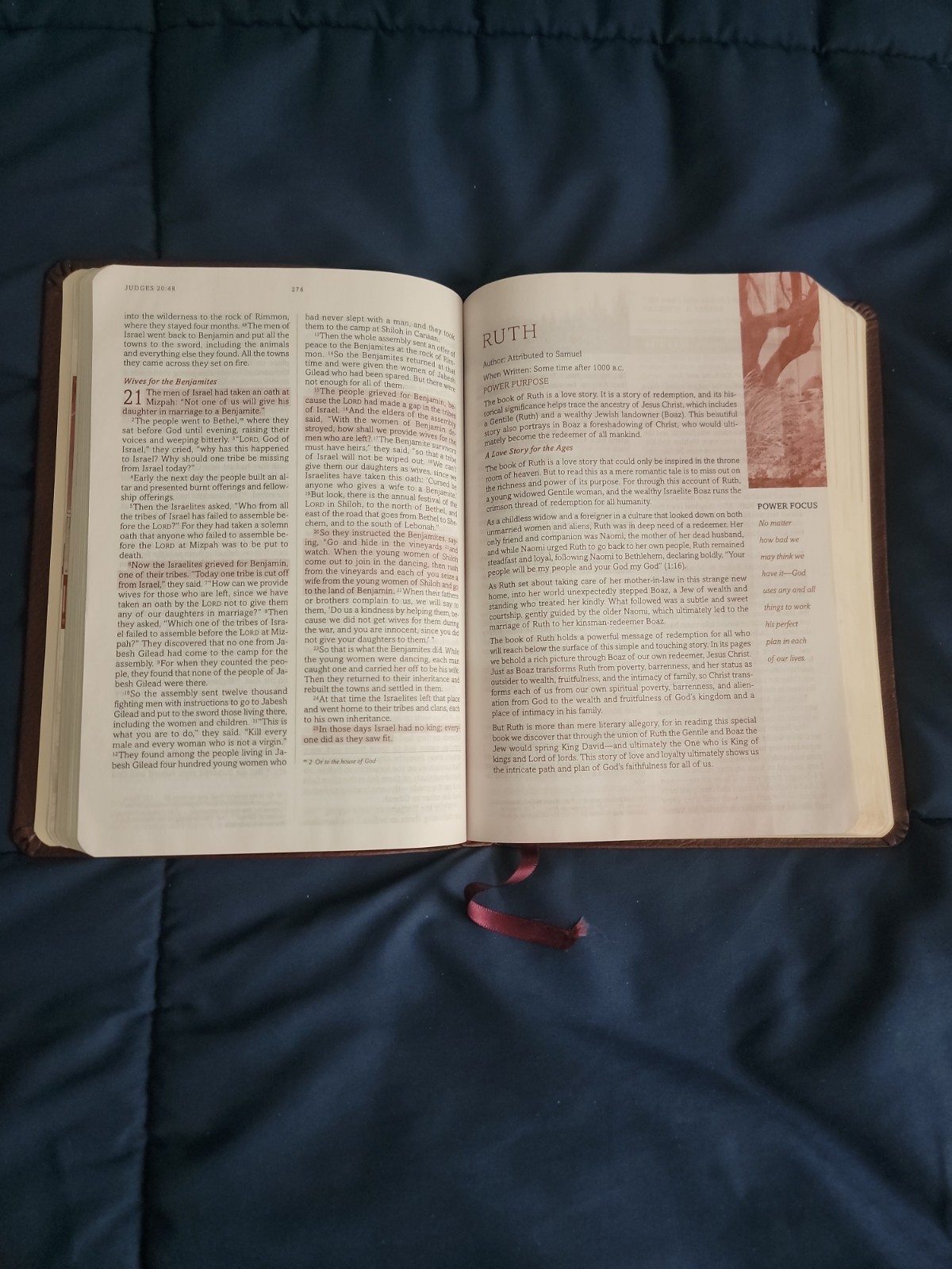 Power For Life Genuine Leather TNIV Study Bible