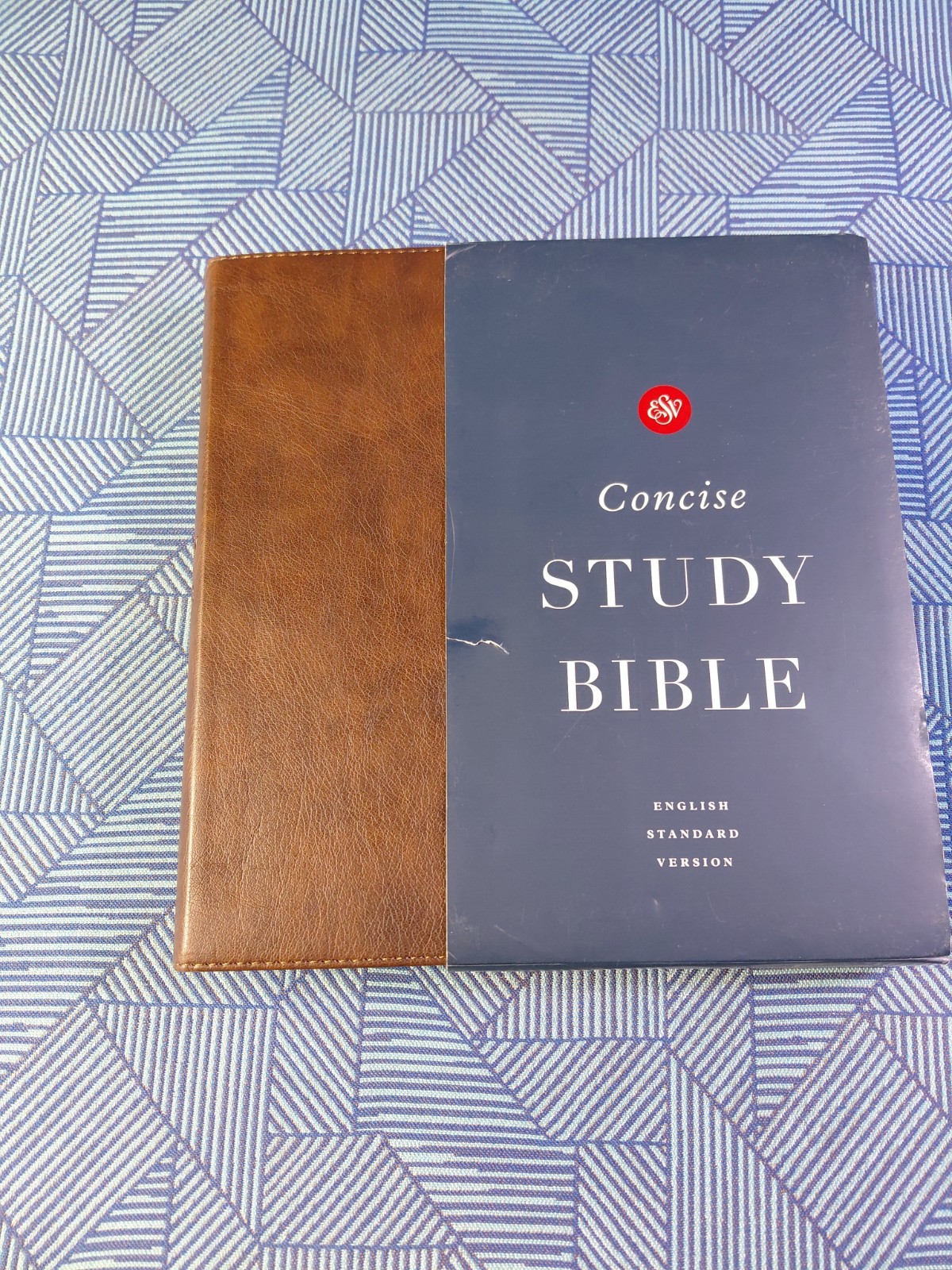ESV Concise Study Bible (TruTone, Brown): Holy Bible, English Standard Versi…
