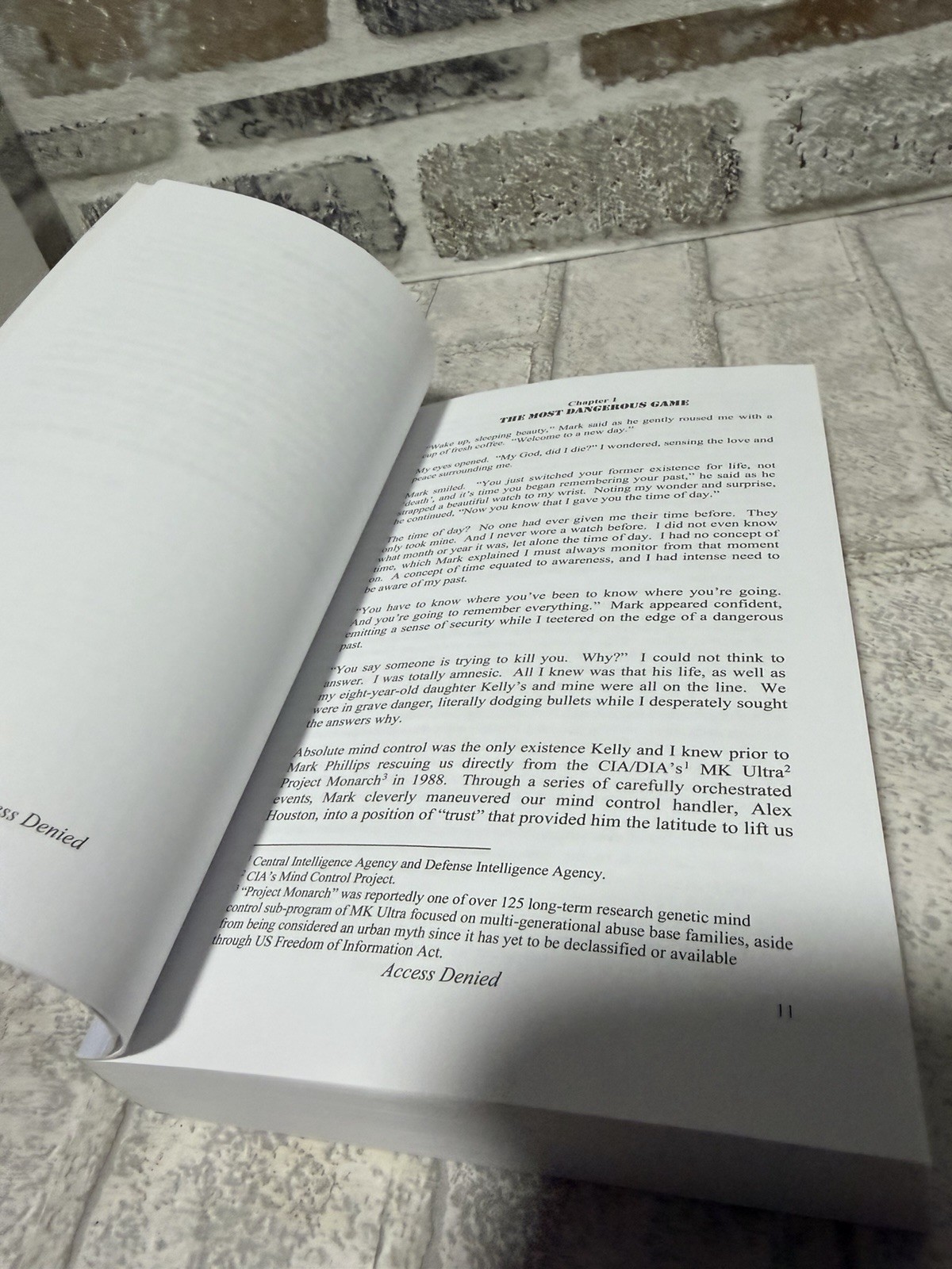 Access Denied For Reasons of National Security by Cathy O’Brien – SIGNED!