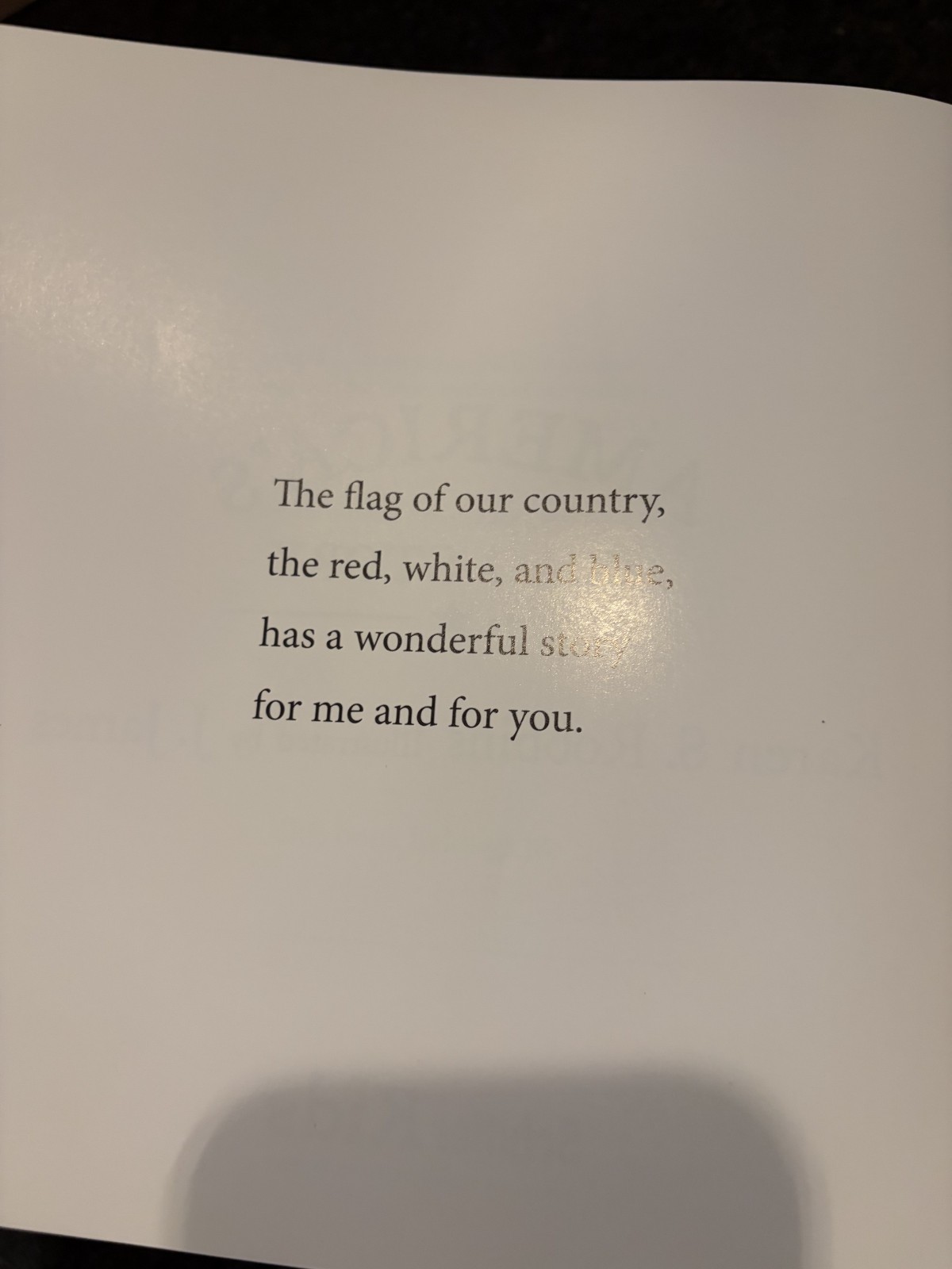 America’s Flag Story Karen S. Robbins Hardcover Children’s History Book