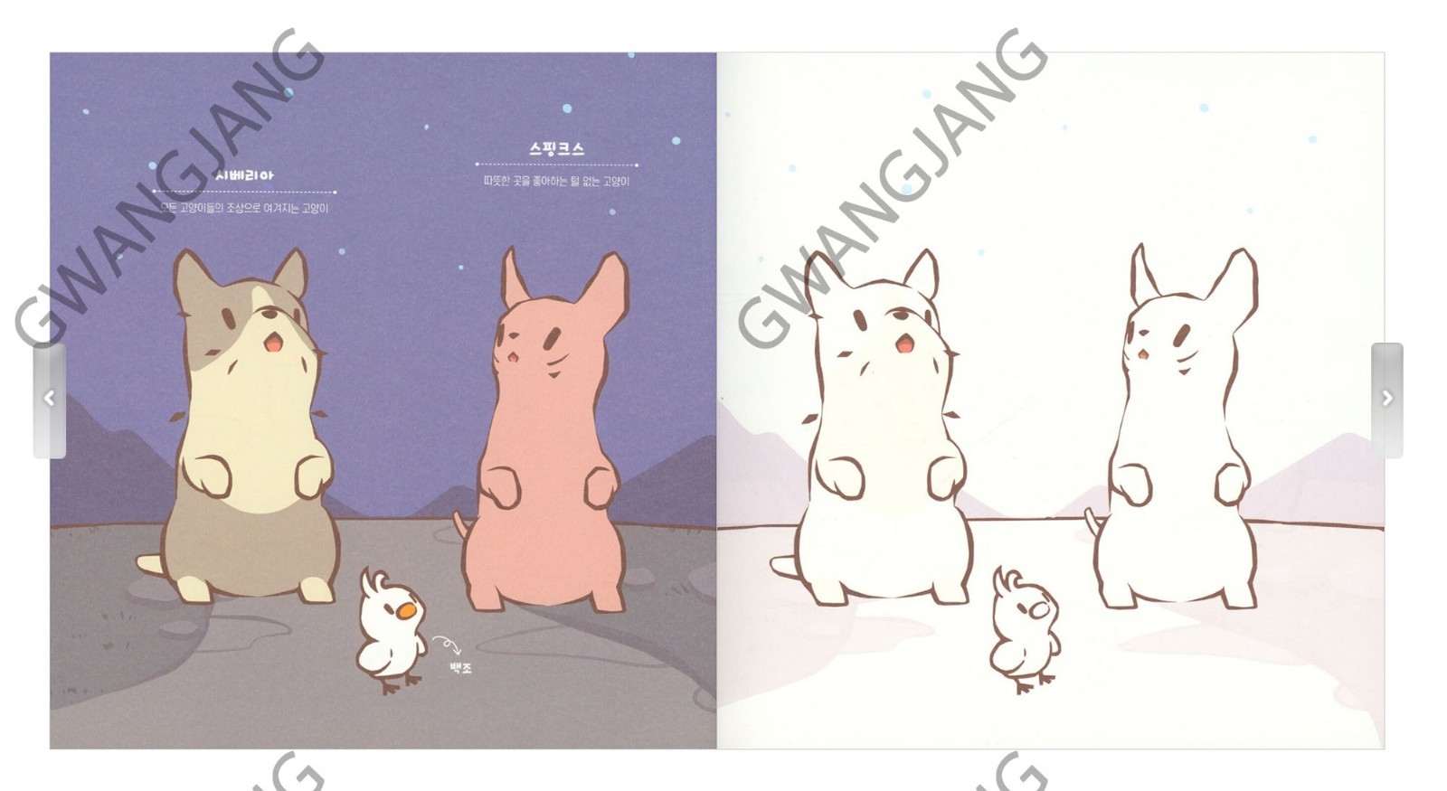Cats and Soup Coloring Book 56 Pages 9Ⅹ9″ Paper Good Quality Korea Game Kpop Fun